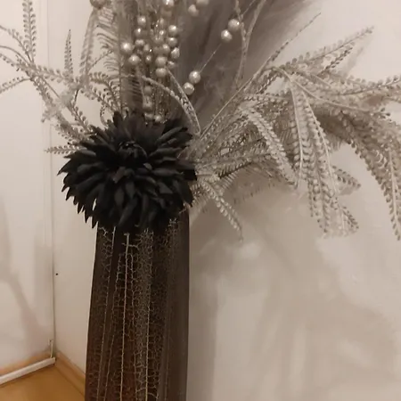 Centerzerozoneone Appartement