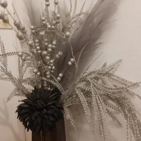 Centerzerozoneone Appartement